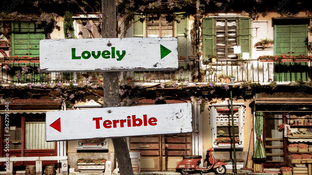 Street Sign to Lovely versus Terrible