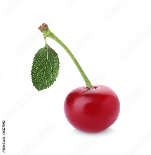 Delicious ripe sweet cherry with leaf isolated on white