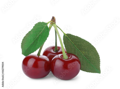 Sweet red juicy cherries isolated on white