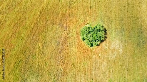 Birds eye aerial top view of rural field with isolated forest island area in heart shape from above
