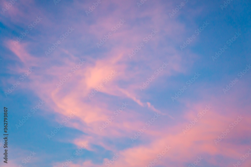 Pink sunset sky with pearly clouds