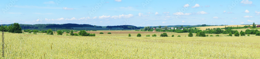 Rural beautiful european landscape summer without people