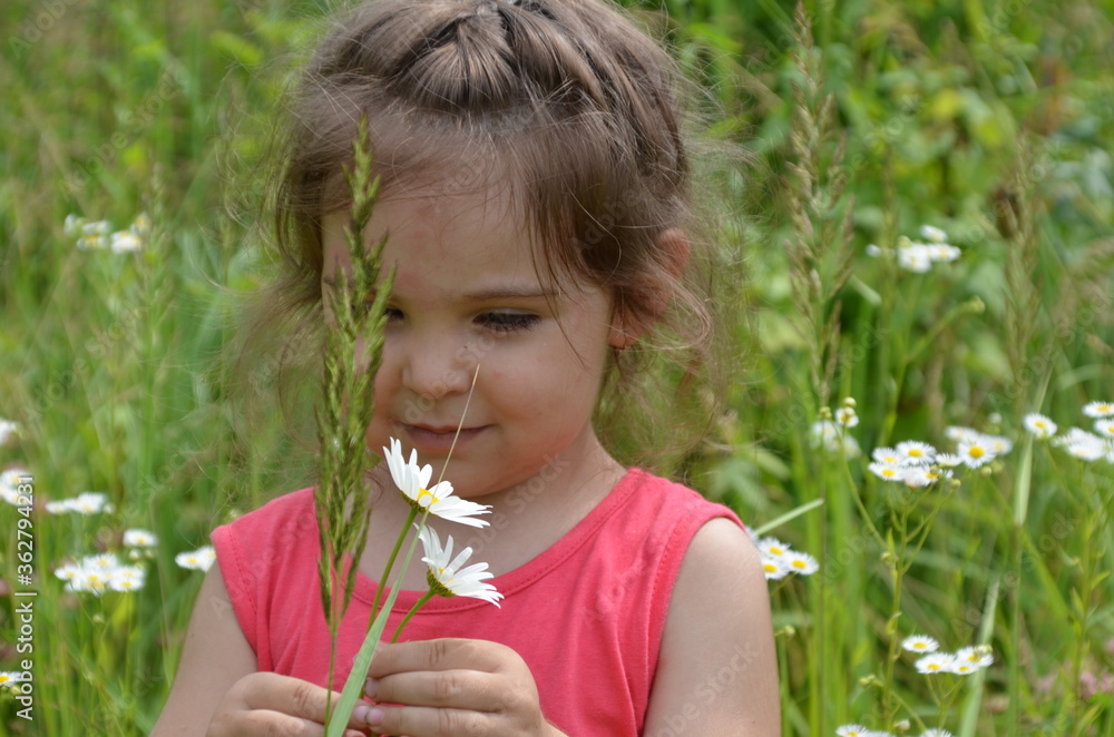outdoor portrait Cute smiling baby girl in camomile field .Adorable girl with blue eyes and flowers daisies on meadow at summer day.Little child having fun and exploring nature. Copy space outdoor portrait Cute smiling baby girl in camomile field .Adorable girl with blue eyes and flowers daisies on meadow at summer day.Little child having fun and exploring nature. Copy space