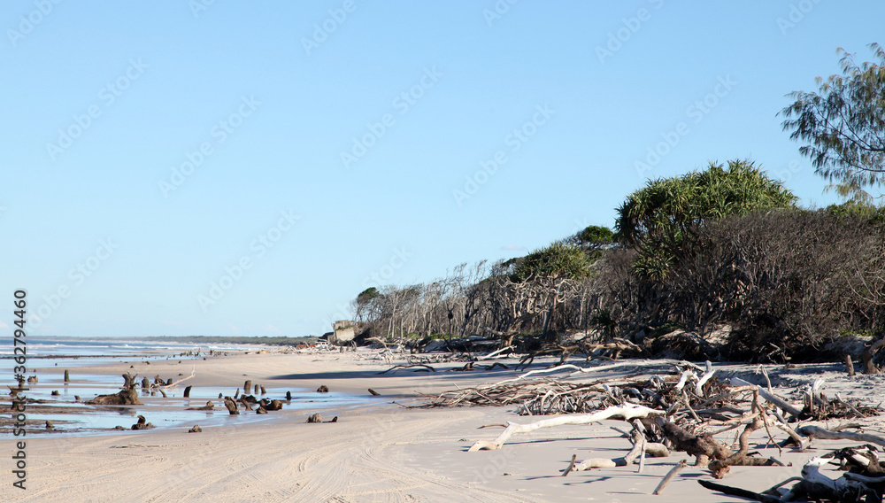 Ocean Beach on Bribie Island, Queensland, Australia, showcasing water, shoreline, trees and sand dunes