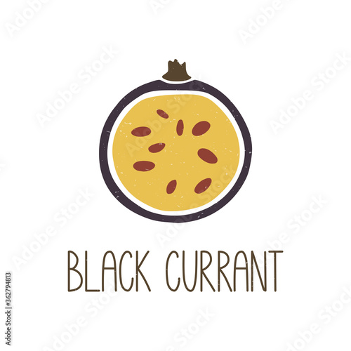 Cute colored caption half black currant isolated on transparent background. Colorful pictogram original design. Can be used for infographics, identity or decoration. Vector shabby hand drawn illustrat