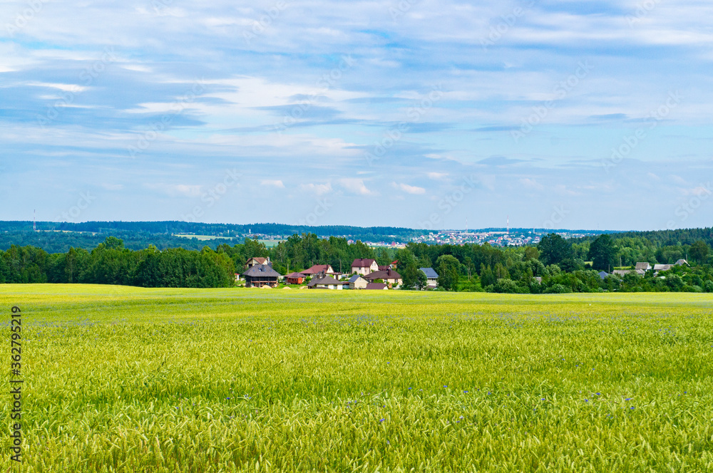 Beautiful countryside landscape with field and houses on the horizon in summer