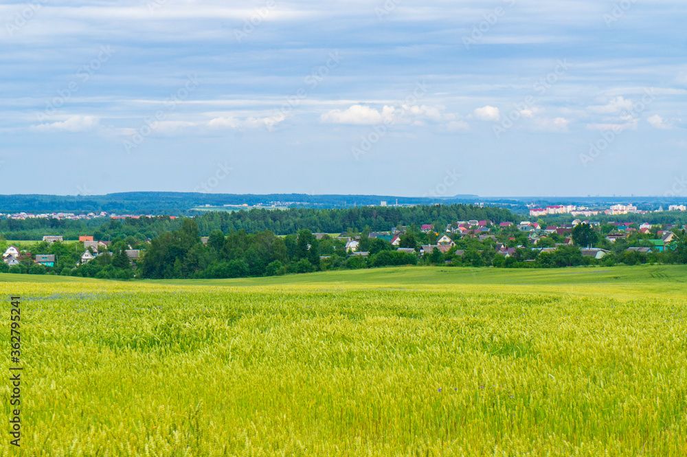 Beautiful countryside landscape with field and houses on the horizon in summer