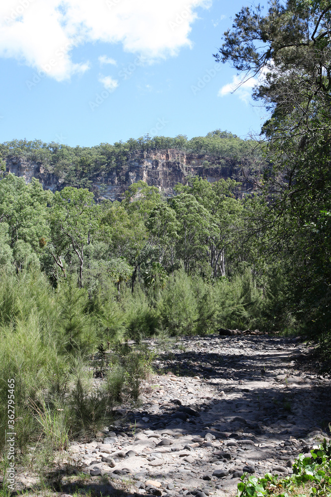 Carnarvon Gorge, Queensland, Australia.  Featuring trees, creeks, rocks and walking trails