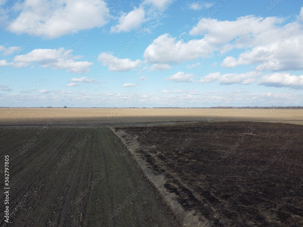 Fototapeta premium Burnt agricultural field, top view. Agricultural landscape.