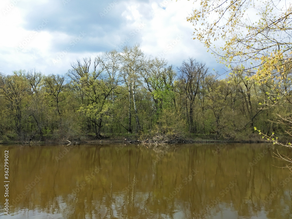 Spring on the river. Beautiful cumulus clouds, leaves blossoming on the trees, river is on the foreground.