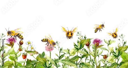 Honey bees making honey in summer flowers, wild meadow grasses. Floral horizontal border. Watercolour for apiculture