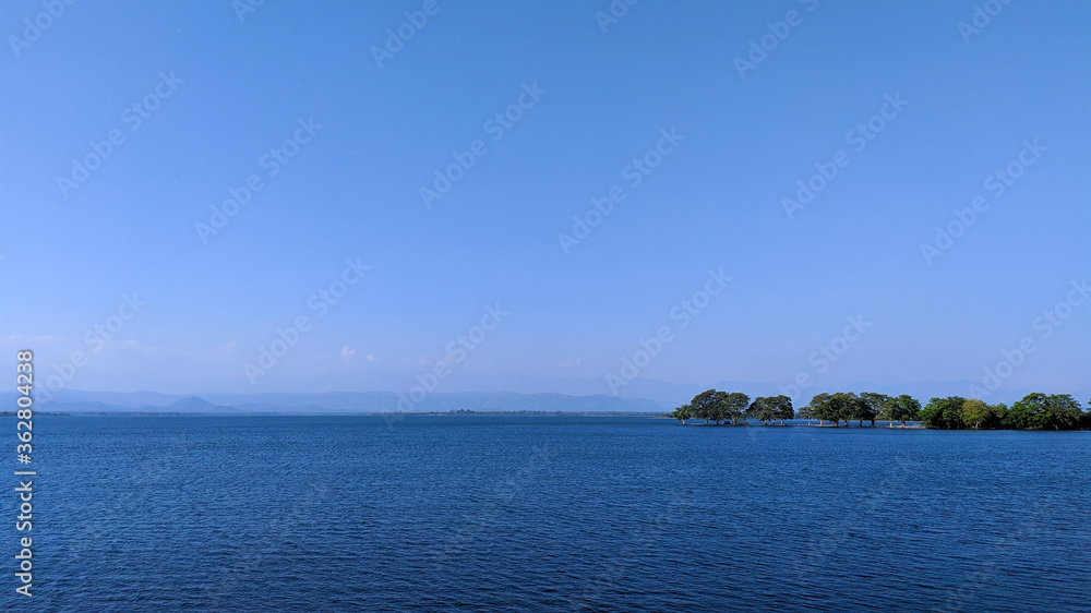 Udawalawa Lake, Trees in the middle of the lake 