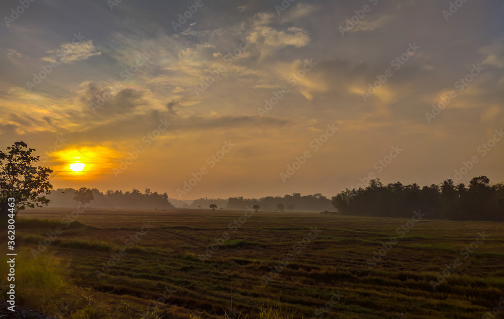 Fototapeta premium Misty morning