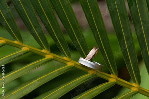 closeup of diamonds wedding rings with palm leaf background.  © Robin