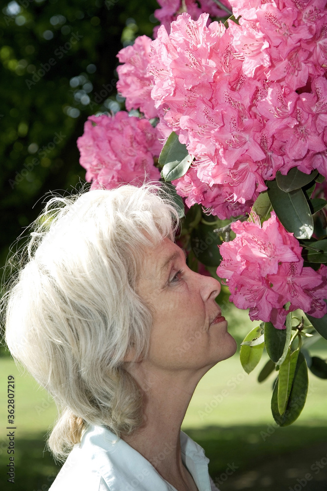 Fototapeta premium Senior woman smelling flowers on plant