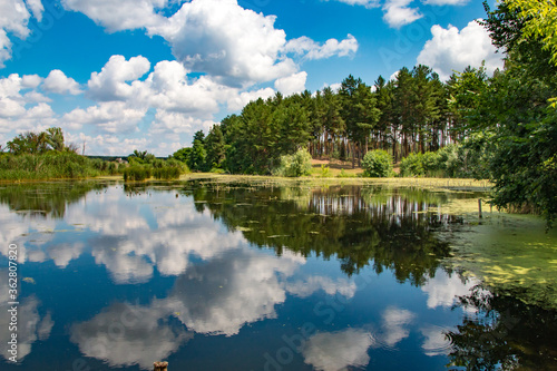 Beautiful view of the forest lake