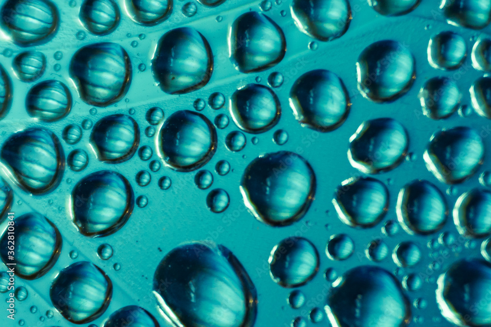 Blue bubbles image. Water bubbles pattern. Macro photography.