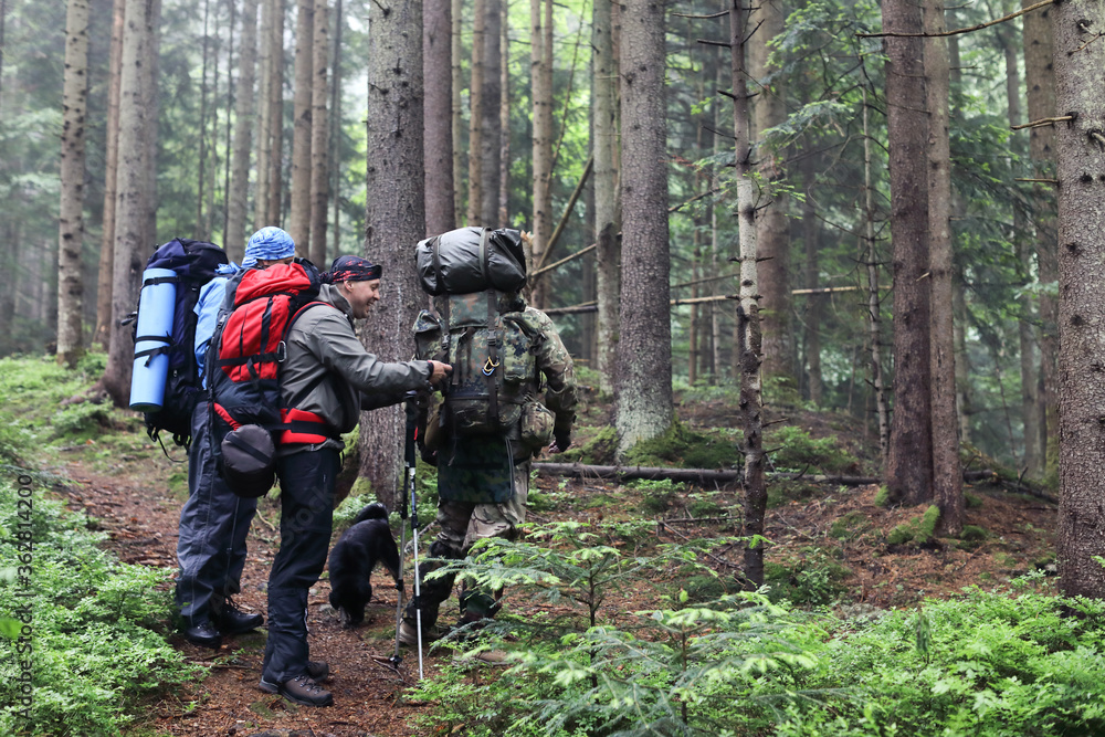 Three men and dog hike in forest with backpack for trekking