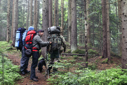 Three men and dog hike in forest with backpack for trekking