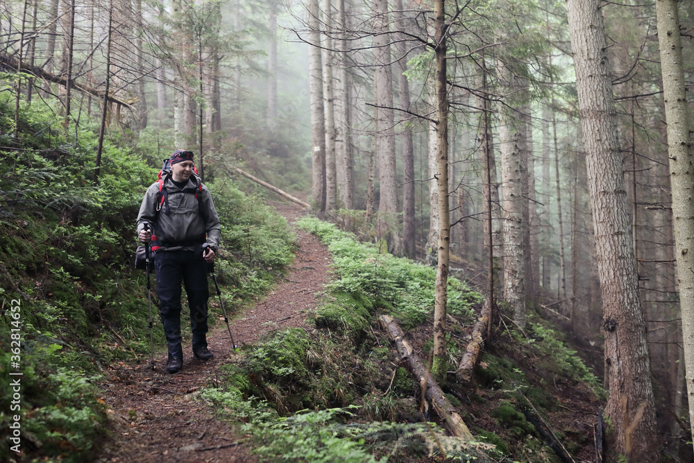 Active healthy man hiking in beautiful forest Active healthy man hiking in beautiful forest