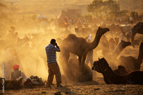 Photography A photographer shoots photos of Camel trade fair at Pushkar fair