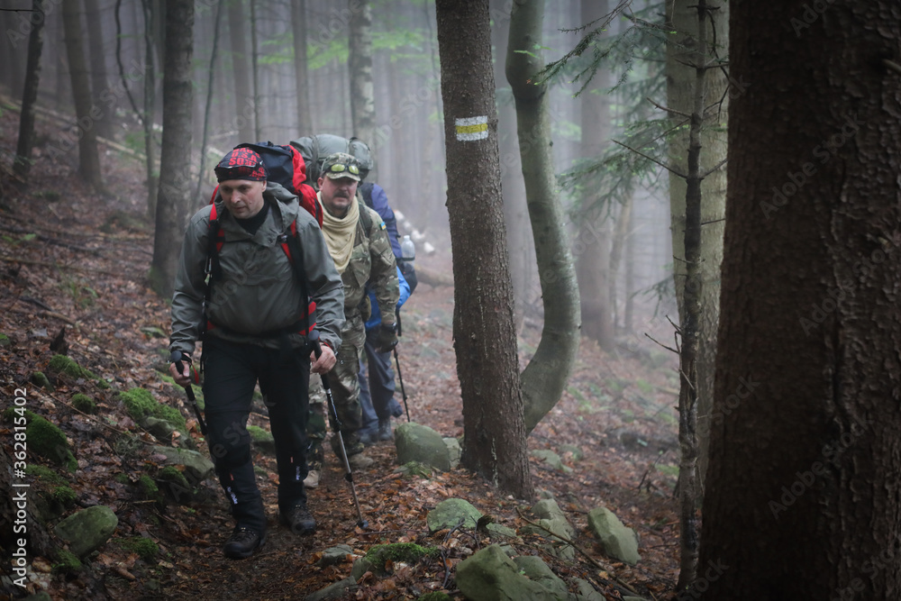 Three men hike in forest with backpack for trekking