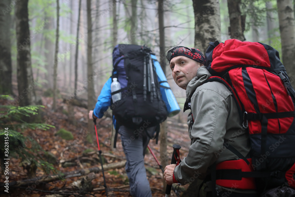 Two men hike in forest with backpack for trekking Two men hike in forest with backpack for trekking