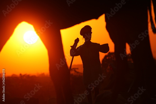 a camel and a man at sunset at Pushkar Camel Fair