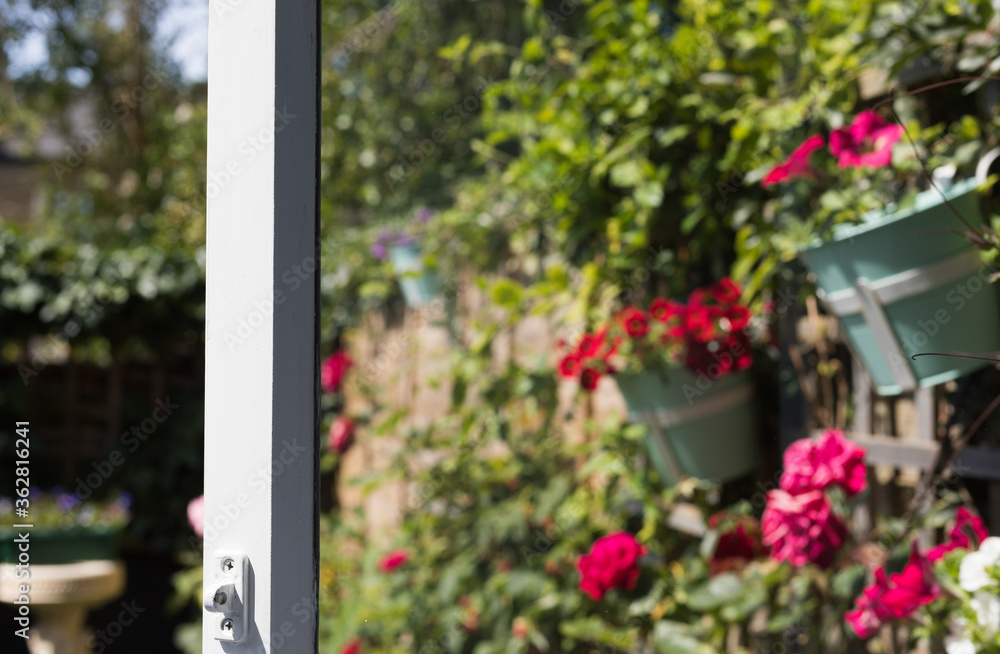 Open Window to Flowering Garden in Sunny Morning – Abstract Colorful Blur View Background for your text. Focus is on the Frame of Window of House. Open Window to Flowering Garden in Sunny Morning – Abstract Colorful Blur View Background for your text. Focus is on the Frame of Window of House.