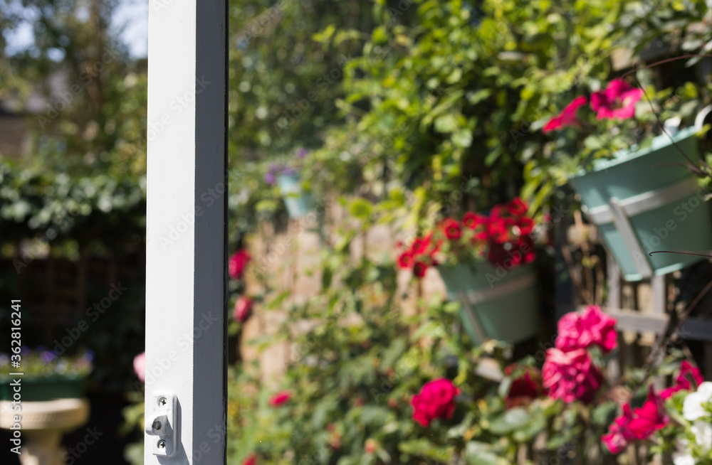 Open Window to Flowering Garden in Sunny Morning – Abstract Colorful Blur View Background for your text. Focus is on the Frame of Window of House. 