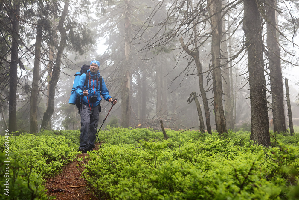 Active healthy man hiking in beautiful forest Active healthy man hiking in beautiful forest