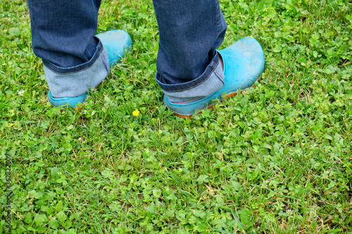 Low section of adult woman with gardening shoes and jeans standing on a green lawn in a garden. Seen in Germany in June.