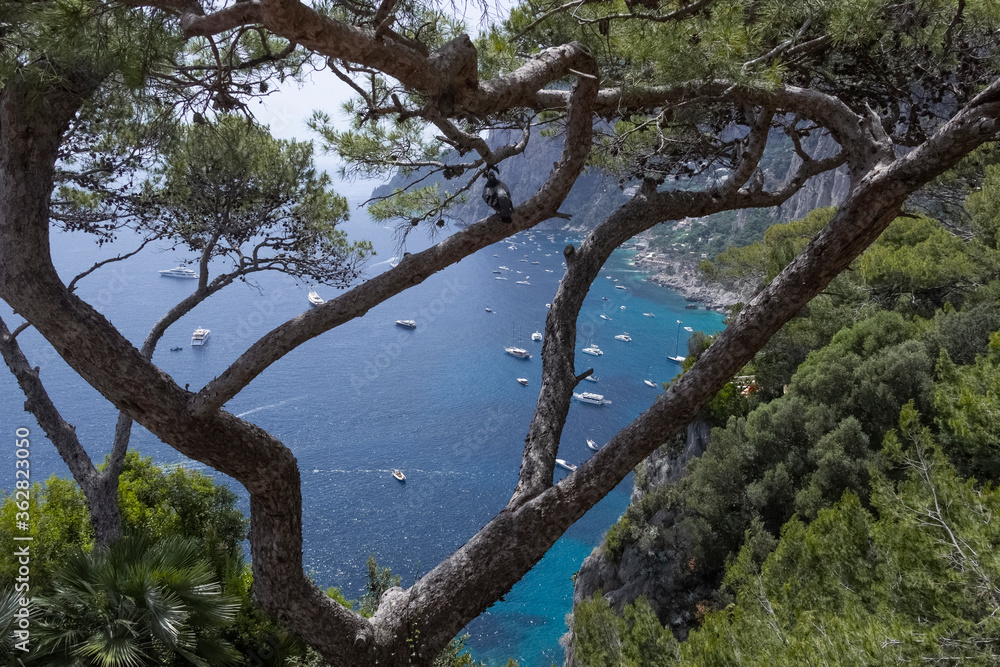 Obraz premium Panoramic view of Marina Piccola and Tyrrhenian sea in Capri island, Italy.