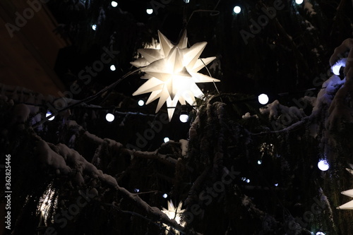 beautiful glowing stars on snowy tree. Winter magic