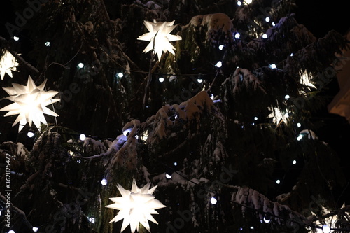 beautiful glowing stars on snowy tree. Winter magic