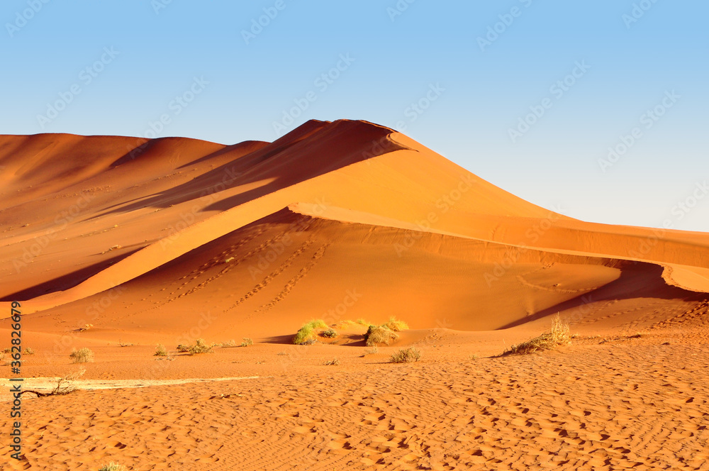 Orange color sand Dune in Namib Desert, Namibia, Africa landscape