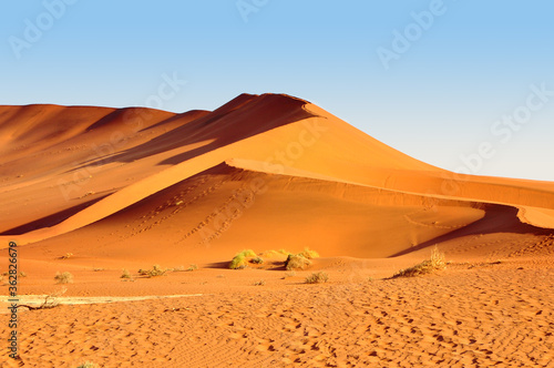 Orange color sand Dune in Namib Desert  Namibia  Africa landscape