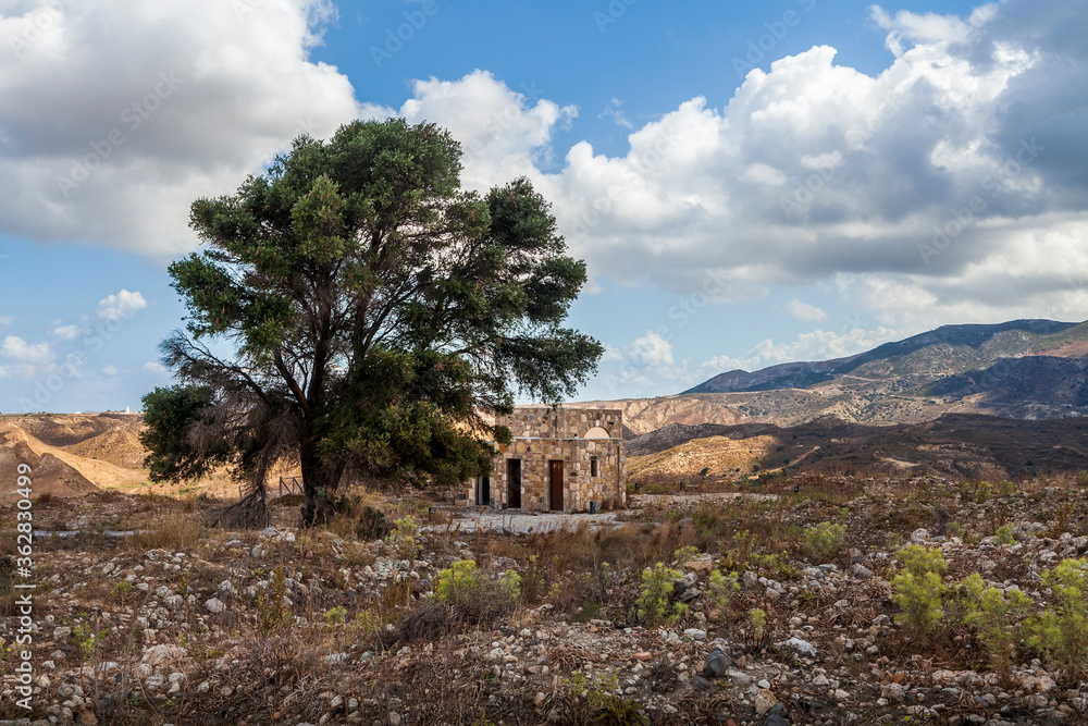 Tree in the castle of Antimachia village in Kos. Greece Tree in the castle of Antimachia village in Kos. Greece
