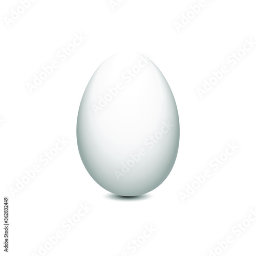 Inshell white chicken egg isolated on a white background. Realistic vector illustration, eps 10.
