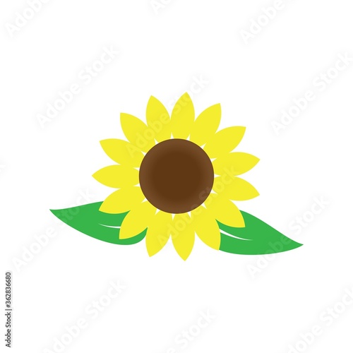 Sunflower logo icon vecto
