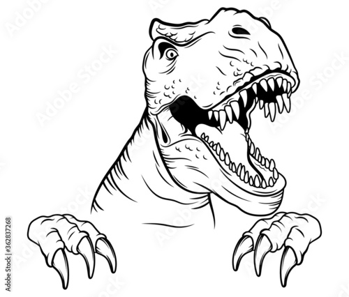 Illustration of a peeking tyrannosaurus. Portrait of a predatory dinosaur with open mouth. Vector illustration of a prehistoric creature on a white background.
