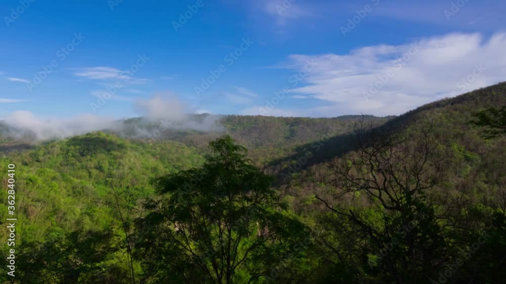 tropical rainforest with fog tropical rainforest with fog