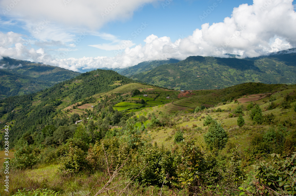 Fototapeta premium The hills