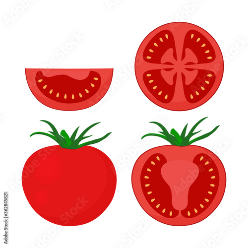 tomato set isolated on white, vector illustration