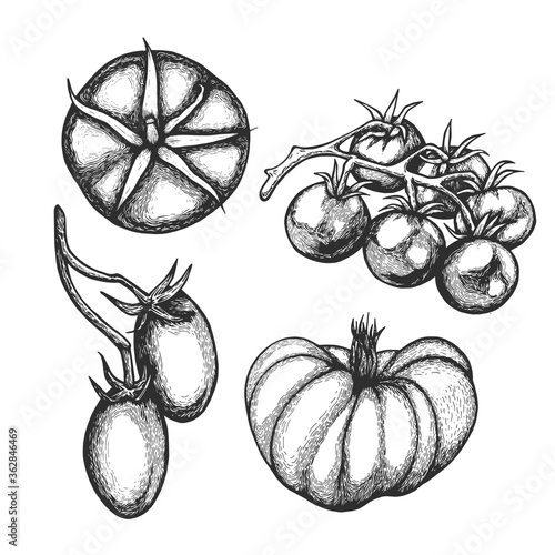 Vector ink set with tomatoes