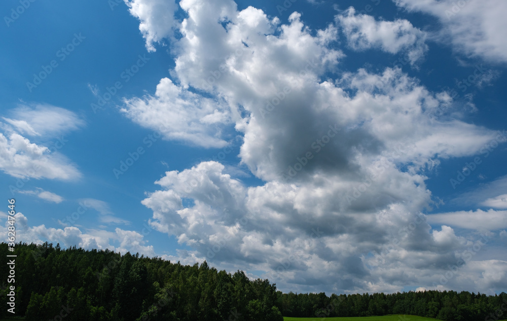 Beautiful nature with green grass meadow, forest and blue azure sky with an amazing of white fluffy clouds.