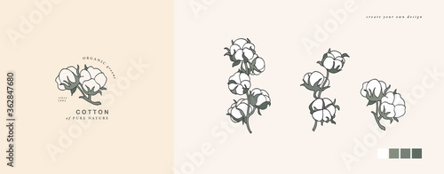 Vector illustration cotton branch - vintage engraved style. Logo composition in retro botanical style.