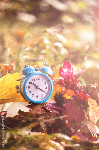 Vintage alarm clock and maple tree leaves in autumn forest. Autumn season image style. Fall Back Daylight Saving Time concept. Daylight savings time. autumn season. fall time. copy space photo