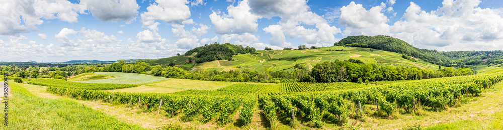 Panorama des Vignobles du Jura