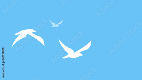 Flying seagulls. Close up of a gull in the sky. Abstract Silhouette of birds. Vector illustration.
